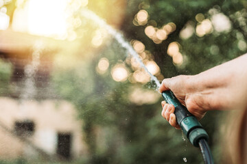 Female hand holding gardening hose, watering garden