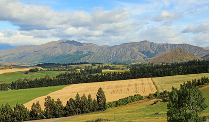 Speargrass Flat - New Zealand