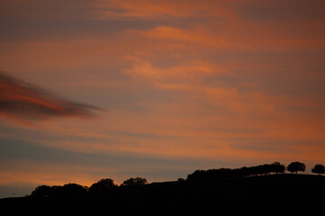 Trees on top of the hill at dusk