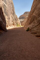 Sandy Trail Cuts Through Cohab Canyon Walls