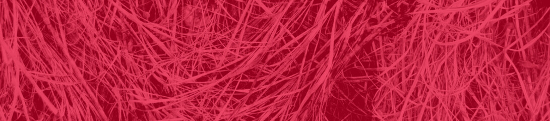 abstract bright pink and red colors background for design