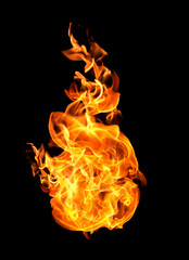 Fire flames on a black background © scenery1