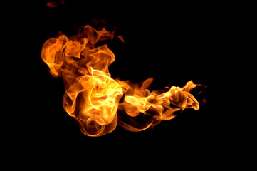 Fire flames on a black background