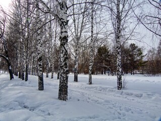 Single photo enhanced with easyHDR 3.15.1: P1000271.RW2