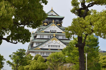 Fototapeta premium 大阪城天守閣