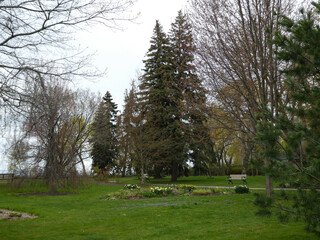 Park landscape with trees and flower beds