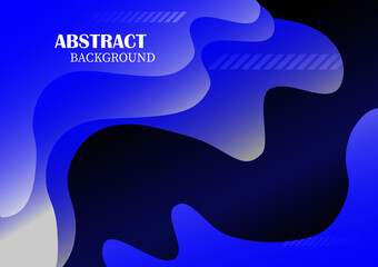 anatomy of the brain