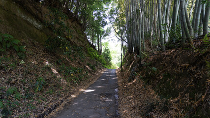 Obraz premium Cut-through road in the mountains in YOKOHAMA