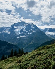 Swiss Alps landscape with Jungfrau summit ahead

2229x2785