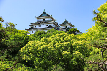 Fototapeta na wymiar 新緑の和歌山城　和歌山県、日本