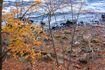 2021年3月12日。栃木県日光市。 中禅寺湖の秋の風景