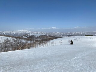 Fototapeta premium 本倶登山からの眺め