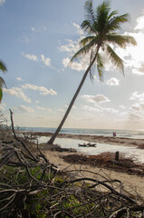 vista al caribe 