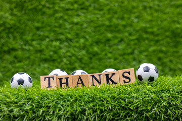Soccer thank you with ball and word THANKS on green grass