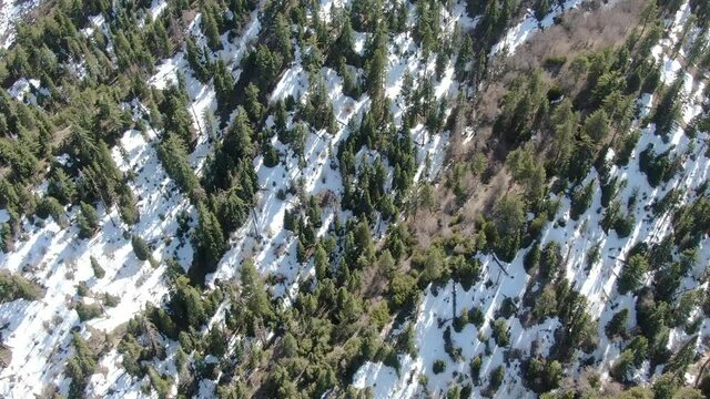 Aerial Birds Eye View of Winter Snow Forest