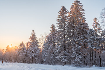 Snow and rime in winter in Changbai Mountain, Jilin Province, China