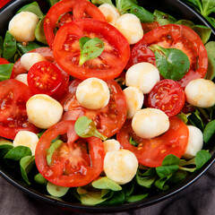 Delicious Italian caprese salad with sliced tomatoes and mozzarela on dark background.