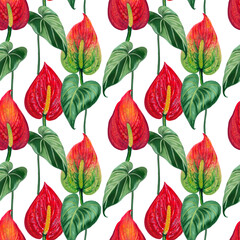Anthurium plants, flowers, leaves, branches foliage seamless pattern illustration watercolor hand paint For design textiles, paper, wallpaper