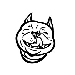 Mascot Illustration of head of laughing Boston terrier, Boston Bull, Boston bull terrier, Boxwood or American gentlemen with tongue out viewed from front done in black and white retro style.