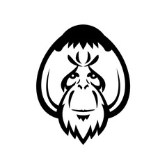 Mascot Illustration of head of an adult male orangutan, a great ape native to rainforests of Indonesia and Malaysia with distinctive cheek pads or flanges front view in retro black and white style. © Redwater Vectors