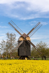 Windmühle Sargstedt im Huy