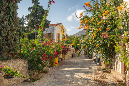 Colorful street with flowers in Old Datca, Turkey