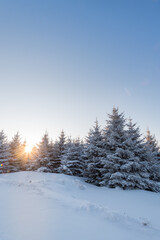 Snow and rime in winter in Changbai Mountain, Jilin Province, China