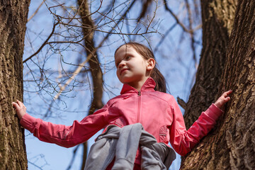 Bottom photo of a girl on a tree. The child stands between two large tree trunks and looks away