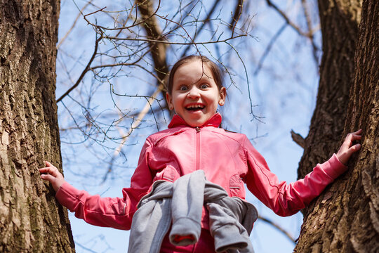 A girl in a pink tracksuit stands between the trees. Photo from below on a child on a tree