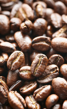 Close up picture of dark freshly roasted coffee beans, selective focus.