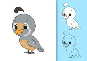 Wild quail. Set of vector illustrations isolated on white and colored background. Design element. Black stroke. Cartoon style.