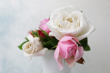 Obraz na płótnie Canvas Romantiche rose bianche e rosa in vaso, isolato su fondo chiaro