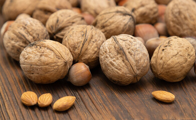 Close up many different nuts on a wooden table. Hazelnuts, walnuts, almonds and apricot pits.