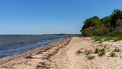 Fototapeta na wymiar Baltic Sea coast on Poel Island, seen in Gollwitz, Mecklenburg-Western Pomerania, Germany
