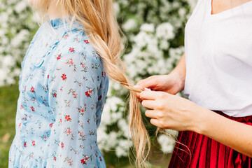 Mom braids girl's hair in nature, summer and spring, blonde hair, woman's hands