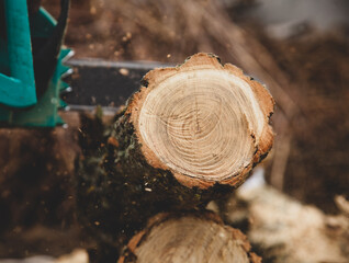 Man cutting piece of wood with chain saw.