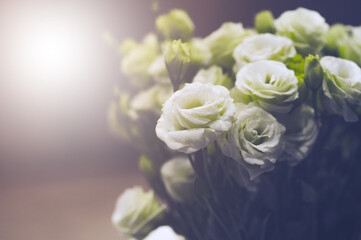 Beautiful vintage roses Is a picture of rose Beautiful patterns for making various media