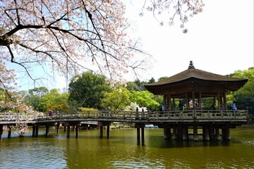 Ukimido Pavilion on Sagi-ike pond with Sakura, Cherry Blossoms, in Nara park, Japan, isolated - 日本 奈良 奈良公園 春の桜 浮見堂 