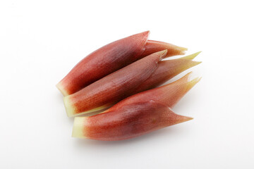 ミョウガ 白い背景