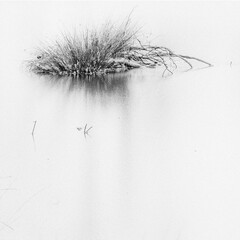 black and white background