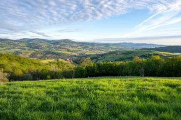 Foto op Plexiglas Paysage des Monts du Lyonnais dans le département du Rhône en France au printemps © michel