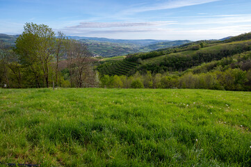 Fototapeta na wymiar Paysage des Monts du Lyonnais dans le département du Rhône en France au printemps