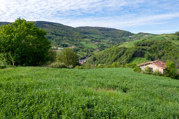 Fototapeta na wymiar Paysage des Monts du Lyonnais dans le département du Rhône en France au printemps
