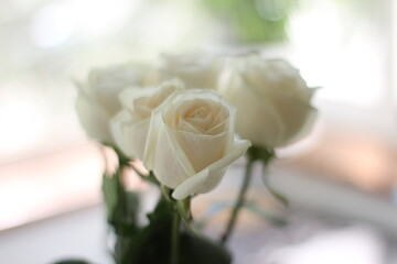 bouquet of roses, bouquet of white roses, flowers of love, bouquet of white roses on the window, white roses on the window, bouquet of delicate roses
