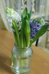 the first flowers of spring, homemade bouquet, the first bouquet of spring, flowers of romance