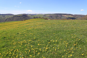 paysage d'Auvergne