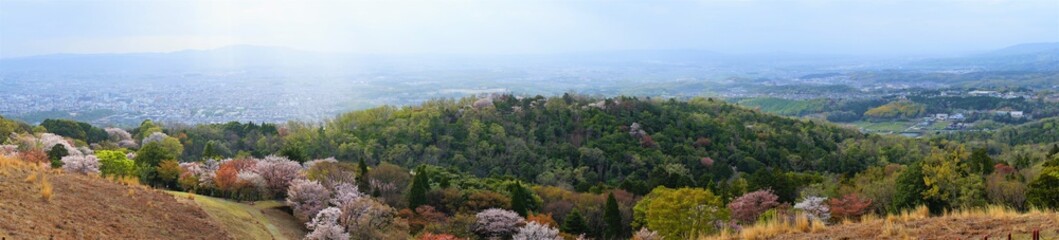 Fototapeta premium Aerial view of Nara city from Mount Wakakusa (Wakakusa-yama) during spring, Panoramic view - 若草山 山頂展望台からの眺望 桜の花 パノラマ