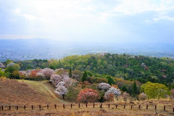 Fototapeta na wymiar Aerial view of Nara city from Mount Wakakusa (Wakakusa-yama) during spring - 若草山 山頂展望台からの眺望 桜の花