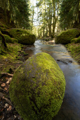 Wunderschöner Fluss im Wald mit große Steine