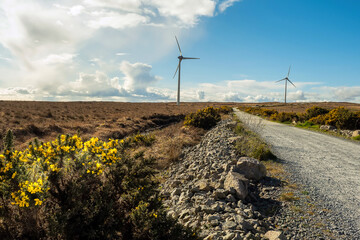 Small road between wind energy turbines. Warm sunny day. Nobody, Blue cloudy sky. Renewable energy...